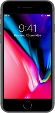 iPhone 8 256 ГБ Серый космос