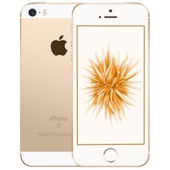 Apple iPhone SE 16 Гб Золотой USA